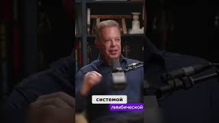 Любовь: Магнит Жизни, Объединяющий Нас!