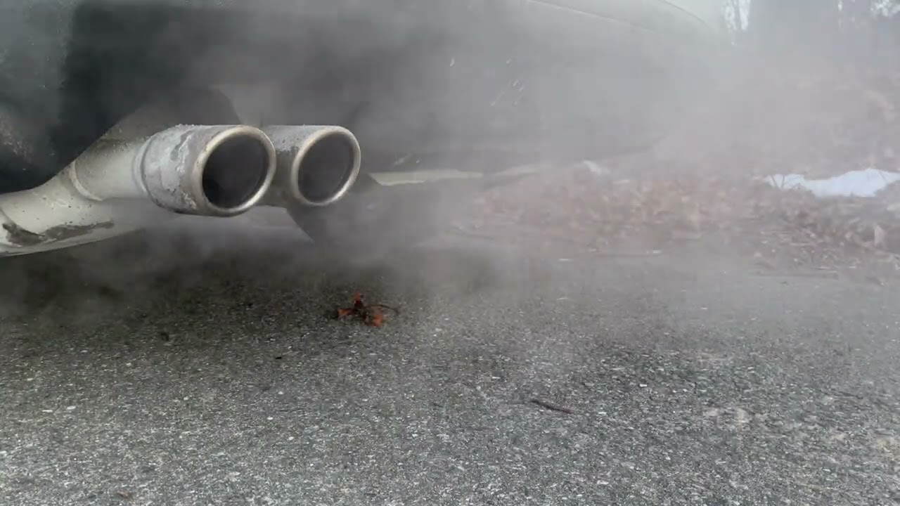 REVVING WITH WARM EXHAUST SMOKE YouTube