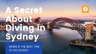 A Secret about Diving in Sydney