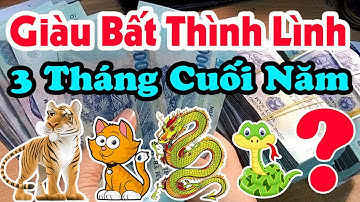 6 Con Giáp GIÀU BẤT THÌNH LÌNH Trúng Số Độc Đắc, Tiền Tràn Két 3 Tháng Cuối Năm 2019