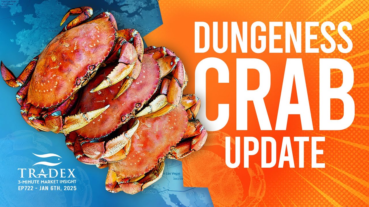 3MMI - Dungeness Crab: Season Openings, 2025 Supply Outlook, Pricing