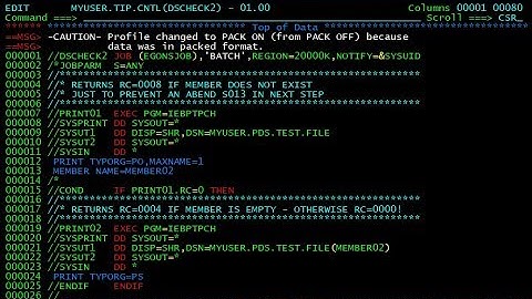 z/OS Tipps und Tricks - Dataset Check II