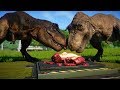 2 T Rex vs 2 Spinosaurus, 2 Indominus Rex, 2 Giganotosaurus, 2 Stegoceratops - Dinosaurs Fighting