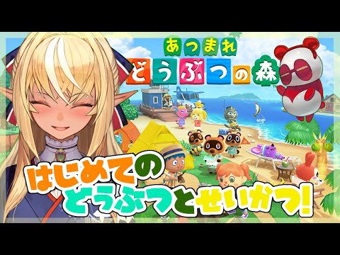 【あつまれ どうぶつの森】生まれて初めてのどうぶつ達との新生活！【ホロライブ/不知火フレア】