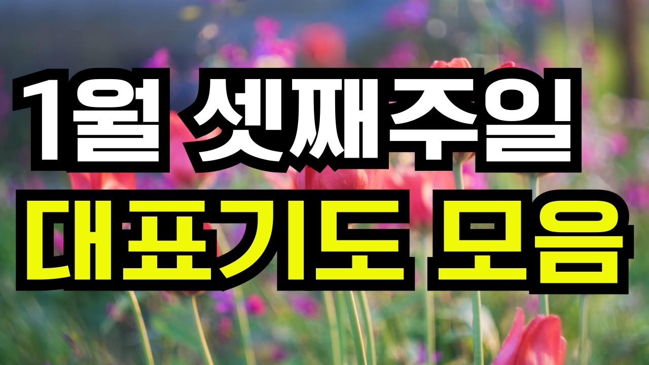 주일 대표기도 | 1월 셋째주 주일예배 대표기도문 예시 ㅣ2026년 1월 3주 주일 예배 대표 기도문 ㅣ 대표기도가 어려운 분들을 위한 대표기도 예시문
