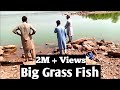 Big grass fish  fish hunting  2021  rawal dam  mateen akhtar