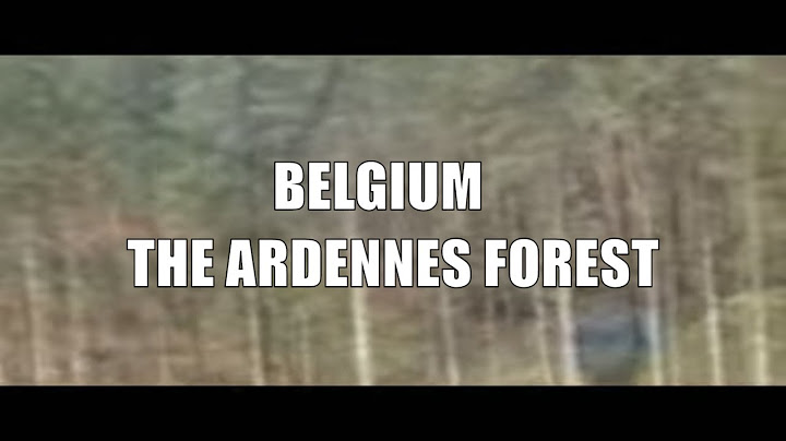 Belgium, the Ardennes forest