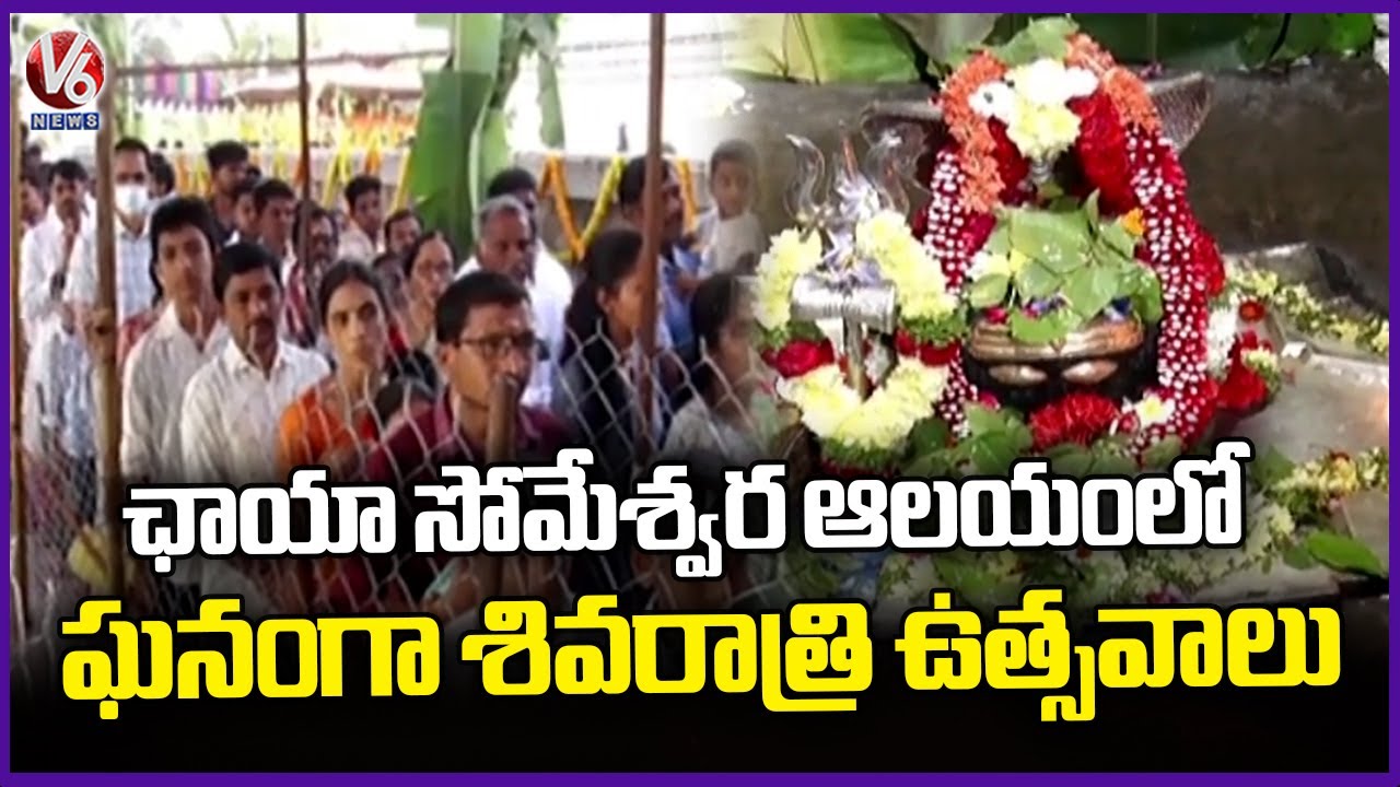 Maha Shivratri Celebrations Grandly Held In Chaya Someshwara Temple | Nalgonda | V6 News