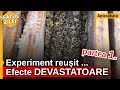 Experiment reusit efecte devastatoare   partea 1  sfatul zilei