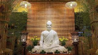 Nghi Thức NIKAYA - Đảnh Lễ Pháp Bảo - Thiền Quán Nguy Hại Của Dục & Trình Pháp *