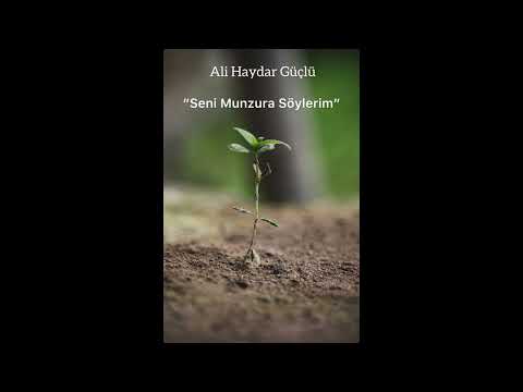 Ali Haydar GÜÇLÜ - SENİ MUNZURA SÖYLERİM