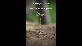 Ali Haydar GÜÇLÜ - SENİ MUNZURA SÖYLERİM