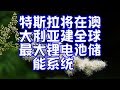 特斯拉将在澳大利亚建全球最大锂电池储能系统