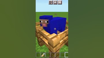 Minecraft Sheep Rainbow colour Hacks 😱 #shorts #viral #minecraft