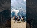 Sonmarg Thajiwas Glacier Scenic View Background #kashmir #glacier #family #travel #snow #mountains