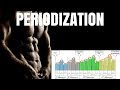 Periodization: The Key to Consistent Muscle Gains | Part 1