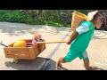 CUTIS Helps Buem Find the Lost Melon Owner… But the Ending!