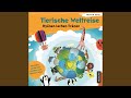 Miniature de la vidéo de la chanson Zwei Delfin