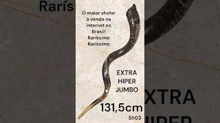 Toque de shofar de 131,5cm #viral #shorts #short #shortvideo #viralvideo #viralshorts #shortsvideo