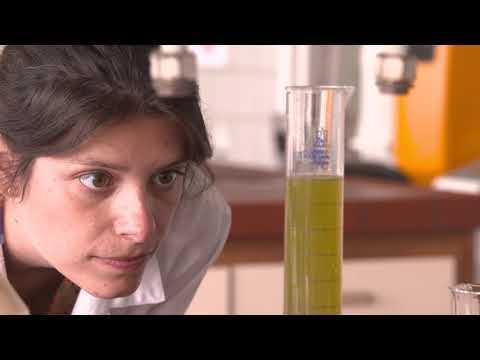 MOOC From Grass