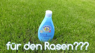 Babyshampoo für den Rasen | Trockenschäden vorbeugen | Rasen bewässern - Trockenschäden beseitigen