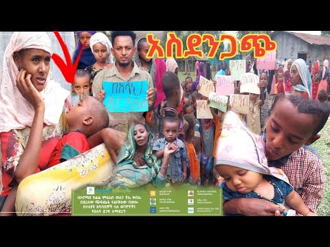 ቪዲዮ: 25 ሁኪዎች የሚኖሩበት ካፌ -ለውሻ አፍቃሪዎች በምድር ላይ ምርጥ ቦታ