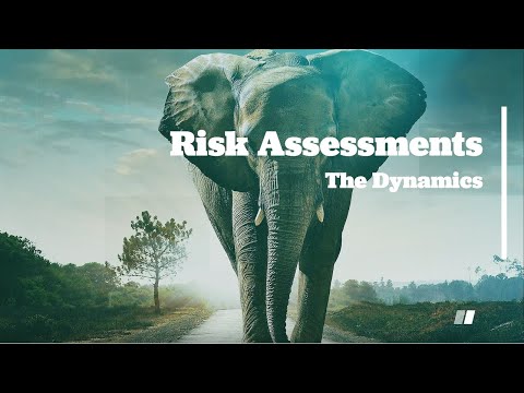 Risk Assessments: The Dynamics