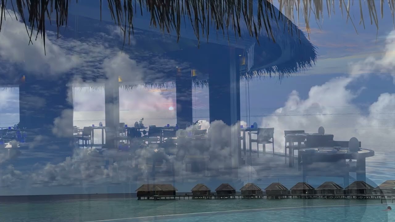 DANCING MANTA RAYS! Dusit Thani Maldives & Hanifaru Bay Trip Report