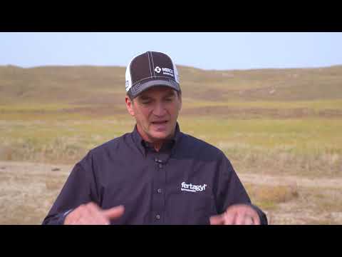 Improving Your Reproductive Efficiency With Merck Animal Health