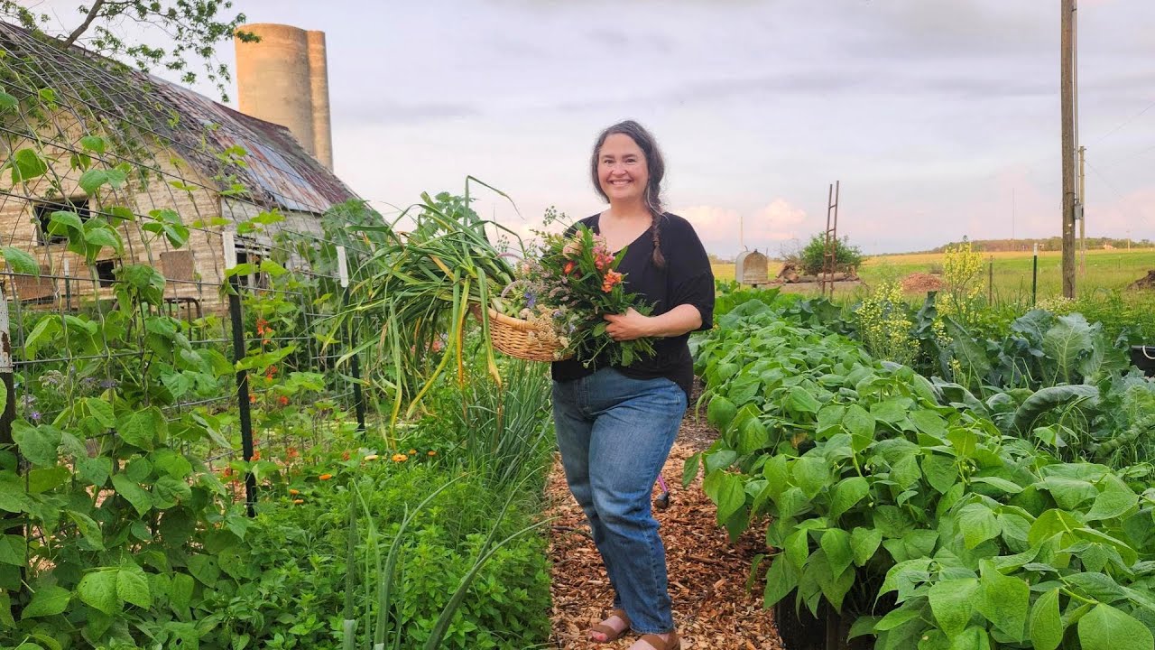 June Garden Tour in Missouri - What's Thriving & What's Struggling