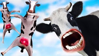 FUNNY COW DANCE 40 │ Cow Song & Cow Videos 2021