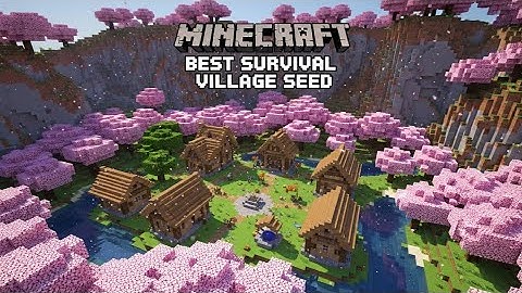 Minecraft Perfect 1.21.10 Seed: DOUBLE Village Spawn in Cherry Grove Valley