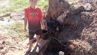 Ntxhiav Niam Ntxhiav Txiv Thiab Kuv Tu Tub Peb Mus Khawb Qov Dej Nawb 22112025