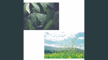 Pulsating Backdrops for Spa Days