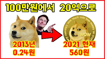 100만원을 20억으로 만들어준 도지코인 도지코인과 도지 밈 그리고 엘론 머스크