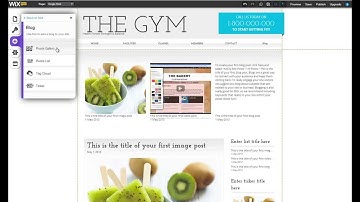 The Wix Blog | Posts Gallery