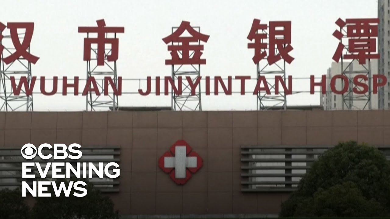 WHO investigators continue search into coronavirus origins in Wuhan, China