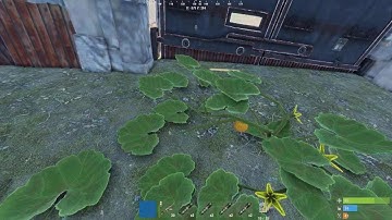 Solo bradley counter (rust console edition)