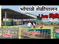 भोपाळे शेळीपालन फार्म लाईव्ह व्हिडिओ ft Satish Ranher