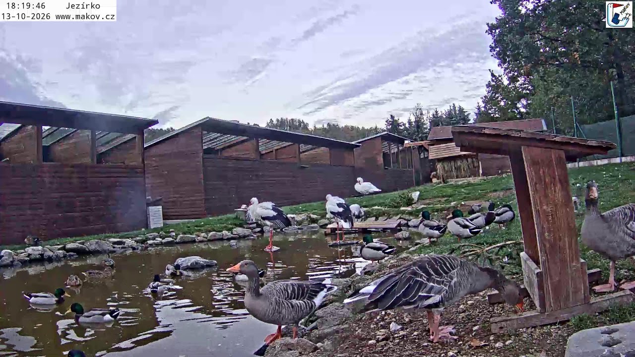 Makov Wildlife Rescue Station Pond