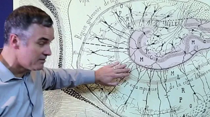 Video Abstract: Structured Dendritic Inhibition CA1 Pyramidal Cells