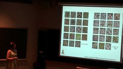 Colleen Butler dissertation defense Part 1