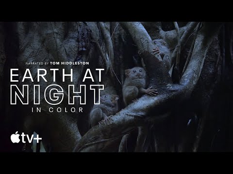 Earth At Night In Color — "Three Generations Together" Clip | Apple TV+ - Earth At Night In Color — "Three Generations Together" Clip | Apple TV+