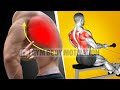 6 Best Exercises for Massive Back - These Are Best For Growth
