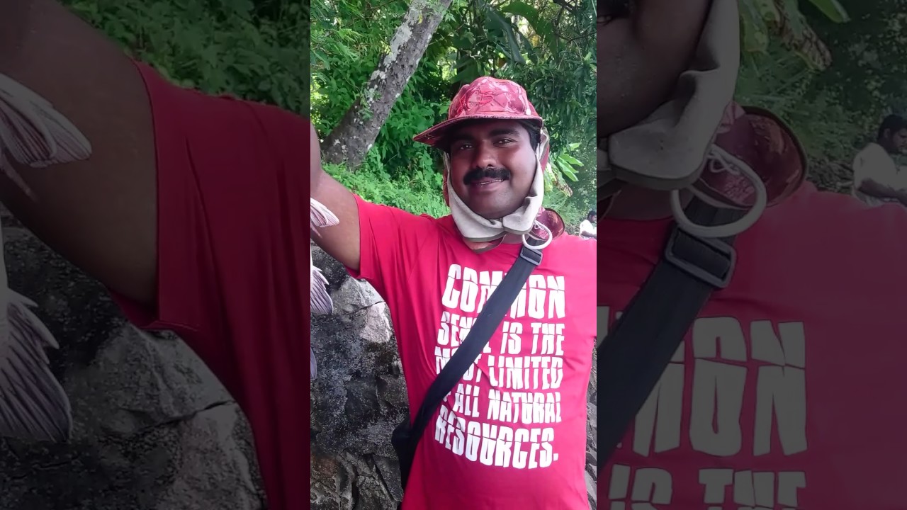 Mangrove jack 07-09-2016 3.46pm lure fishing kerala 