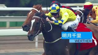 [Citi Hong Kong Gold Cup 2018] Second Leg of the Triple Crown Series - Citi Hong Kong Gold Cup 2018