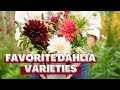 Favorite dahlia varieties to grow for cut flowers a tour of our dahlia garden