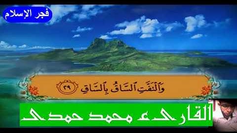 سوره القيامه بصوت الشيخ محمد حمدى حماد  صوت من السماء