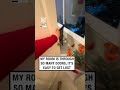 This Bedroom Is Built For Introverts (🎥: tt/hennanoor_)