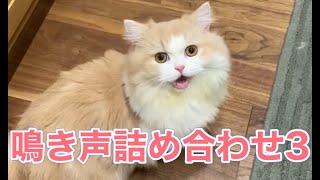 鳴き声詰め合わせ3